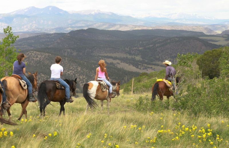 Riding at Elk Mountain Ranch.