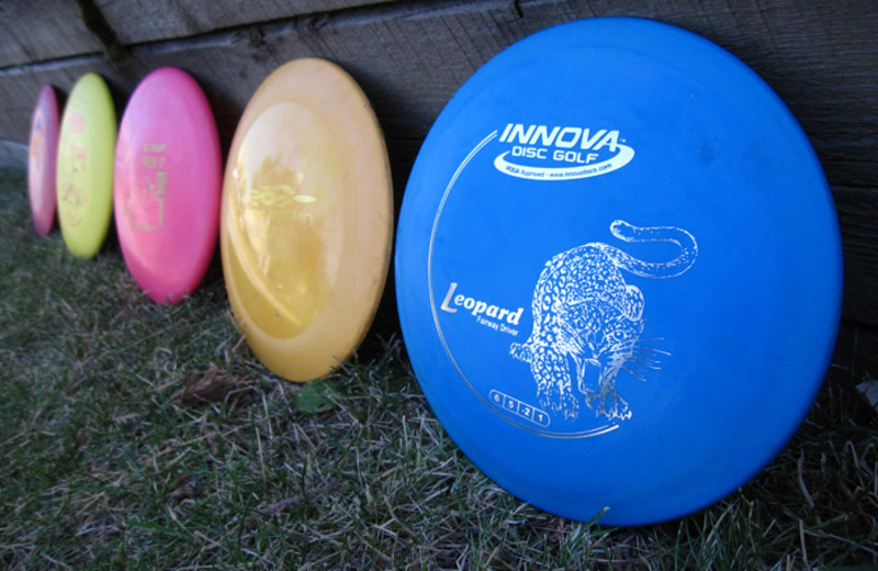 Discs at Red Tree Lodge.