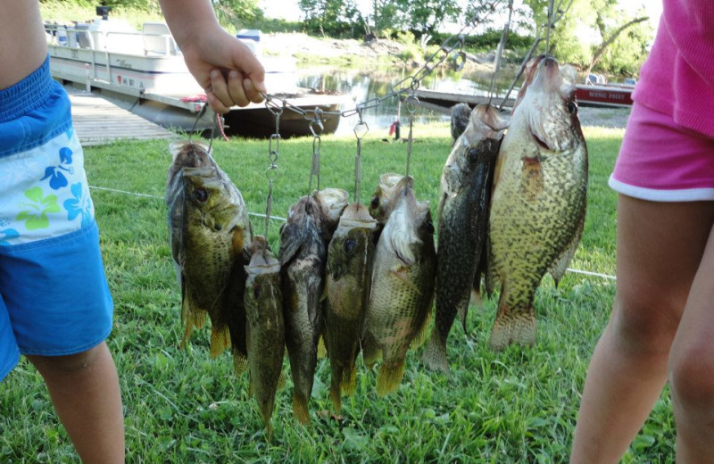 Fishing at Scenic Point Resort.