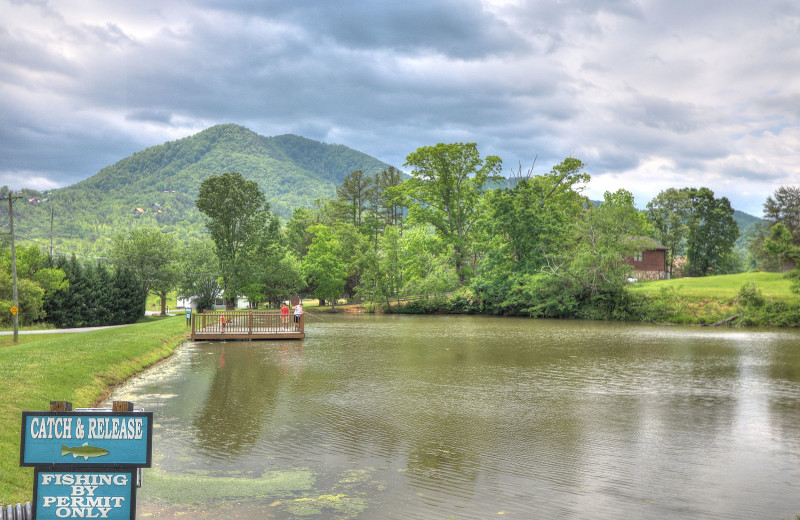 Fishing lake at Aunt Bug's Cabin Rentals, LLC.