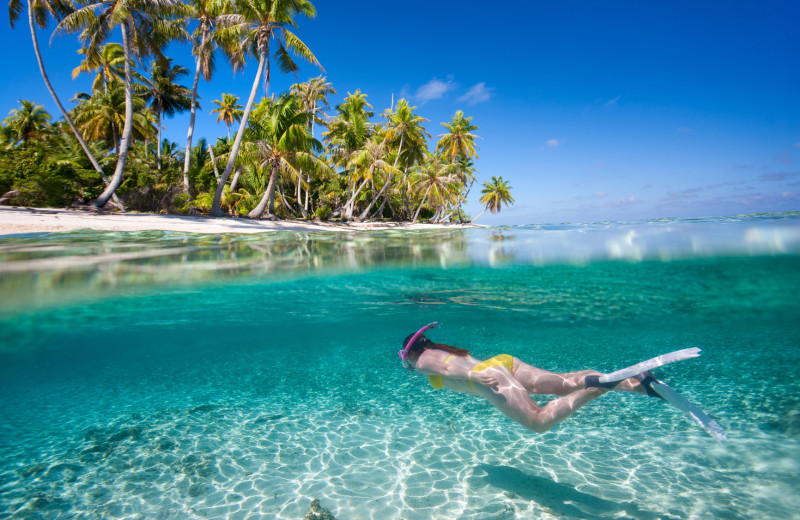 Snorkeling near Pier House Resort & Spa.