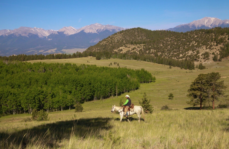 Riding at Elk Mountain Ranch.