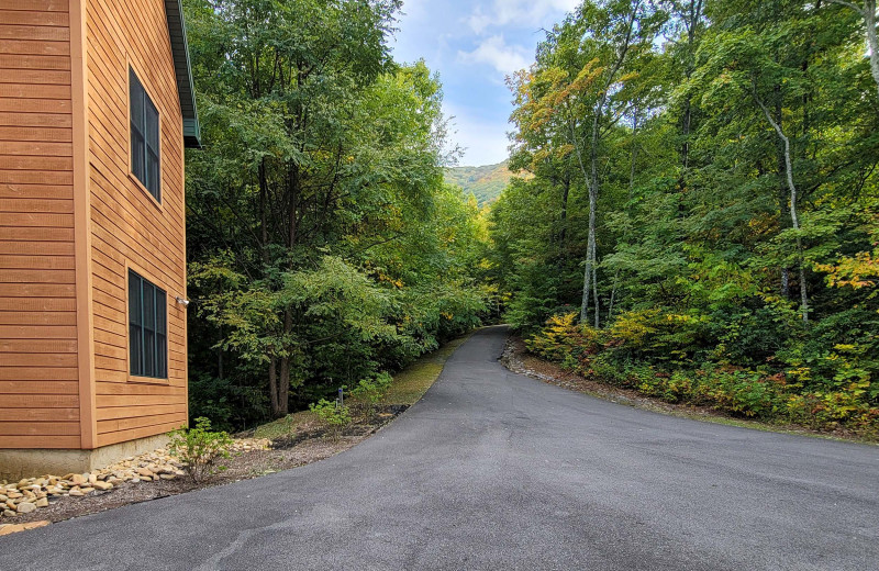 Exterior view of American Patriot Getaways - Checkered Bear Lodge.