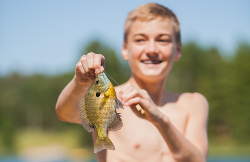 The fishing in Boot Lake, MN is great for pan fish, walleye, bass, and northern, especially in the spring and early summer. 