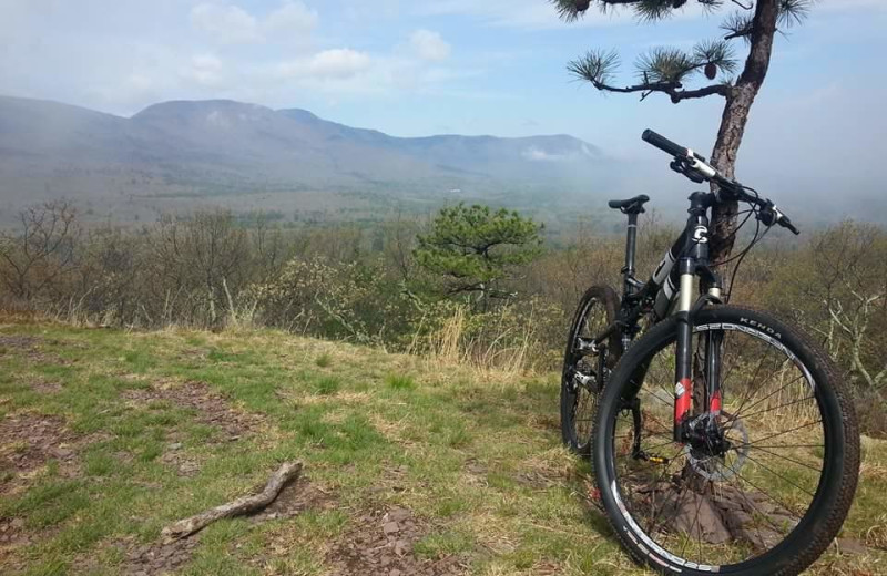 Biking at Crystal Brook Resort.