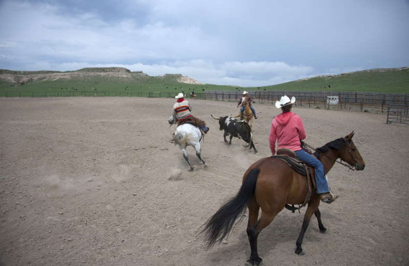 Horseback riding at Colorado Cattle Company Ranch.