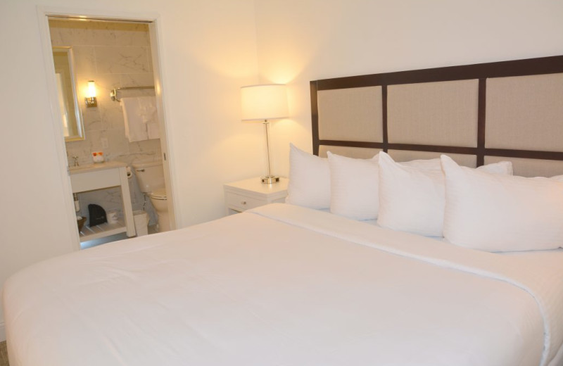 Guest room at Icona Golden Inn.