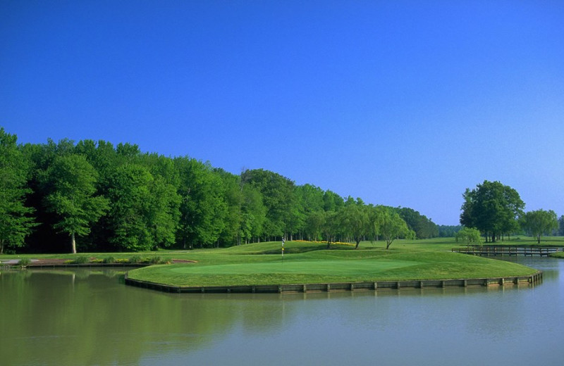 Golf course near Clarion Resort Fontainebleau.