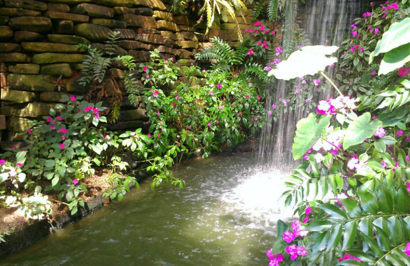 Garden waterfall at Callaway Gardens.