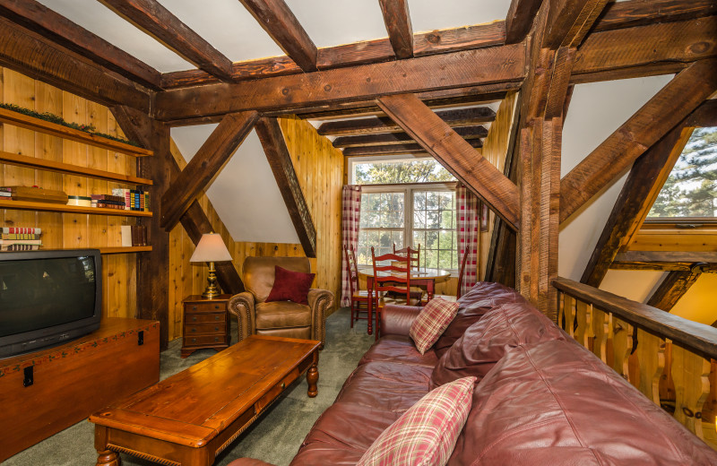 Cabin living room at Arrowhead Pine Rose Cabins.