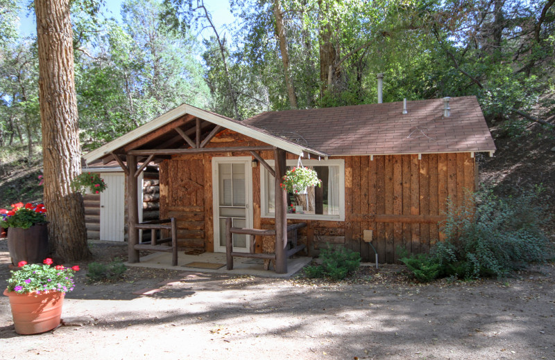 Cabin exterior at River Orchard Place.
