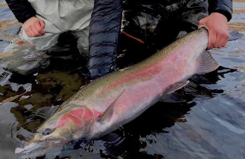 Fishing at Frontier Experience.