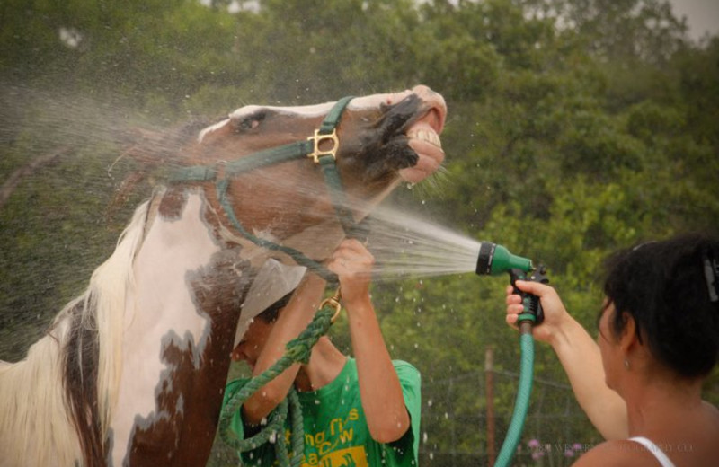 Cleaning Up at Sugar & Spice Ranch