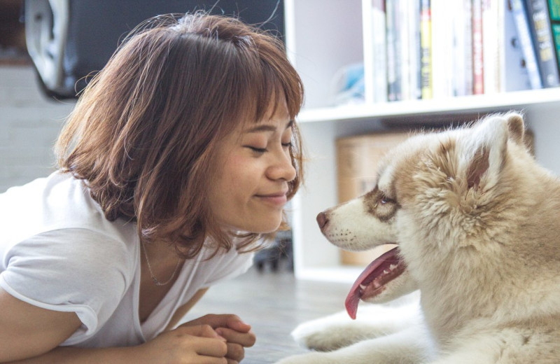 Pets welcome at Durango Colorado Vacations.