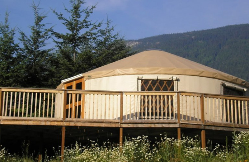 Yurts at Dunlop Lake Lodge.