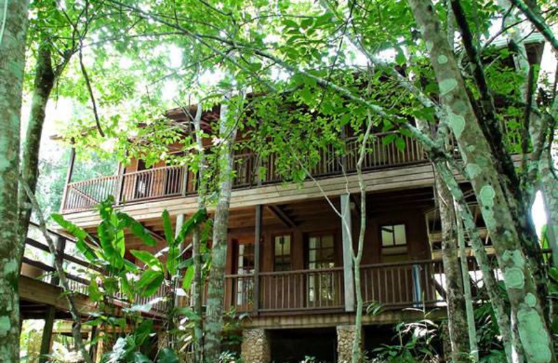 Exterior view of DuPlooy's Jungle Lodge.