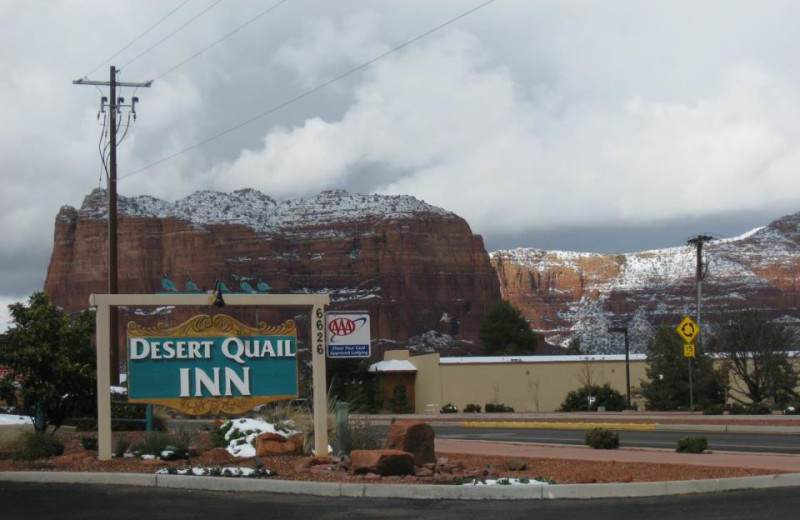 Mountain view at Desert Quail Inn.