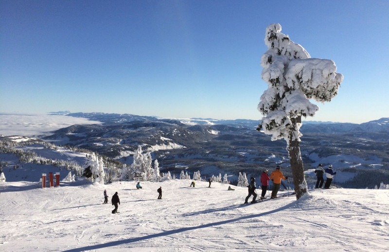 Ski near Ocean Trails Resort.