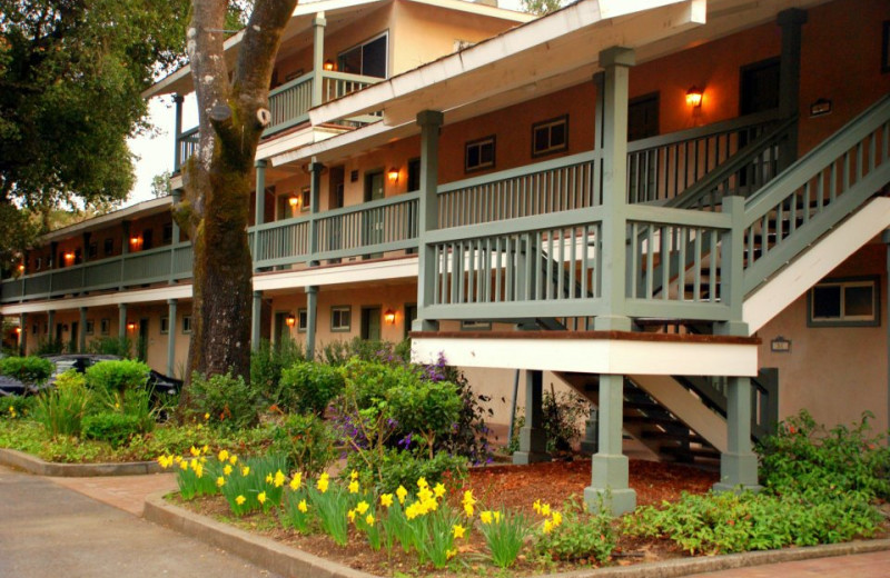 Exterior View of El Bonita Motel