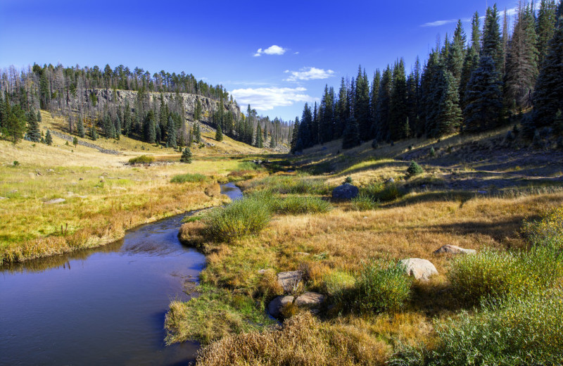 Scenic view near Edelweiss Resort and Restaurant Greer.