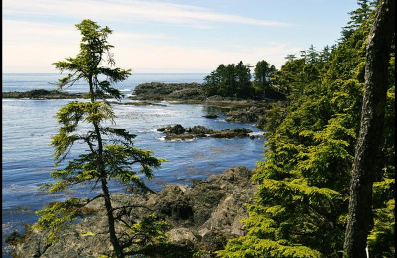 Island shoreline as seen from Wild Pacific Trail just minutes from Sutton Cottage.