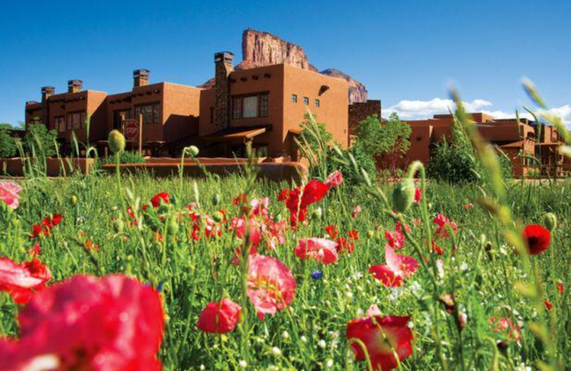 Resort View at Gateway Canyons Resort 