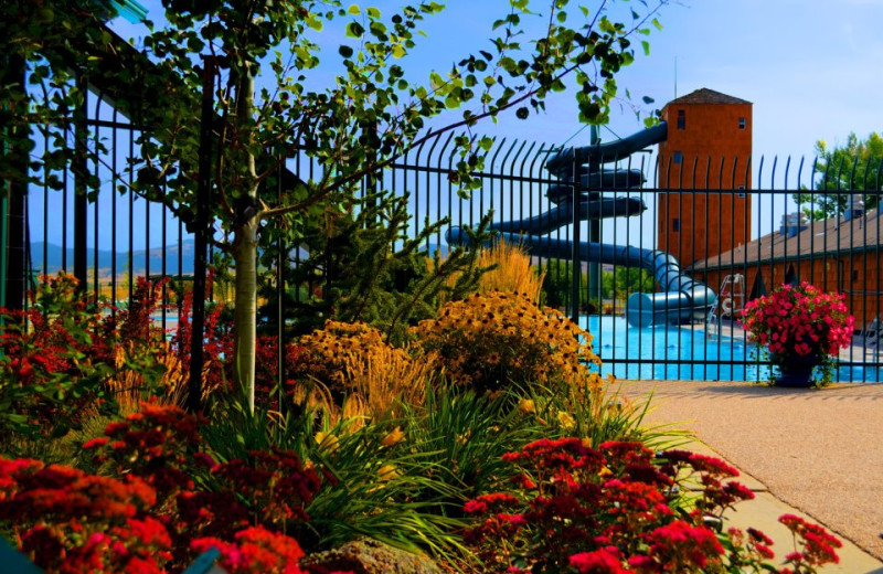 Outdoor pool at Fairmont Hot Springs Resort.