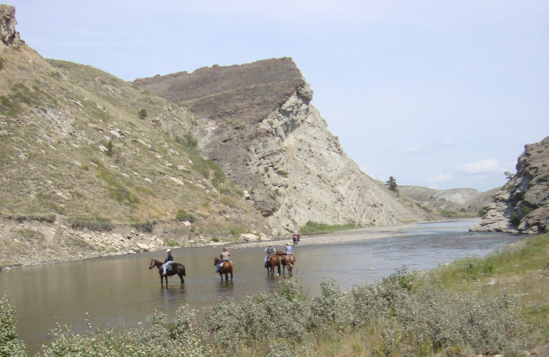 Horseback riding at Bear Creek Ranch.