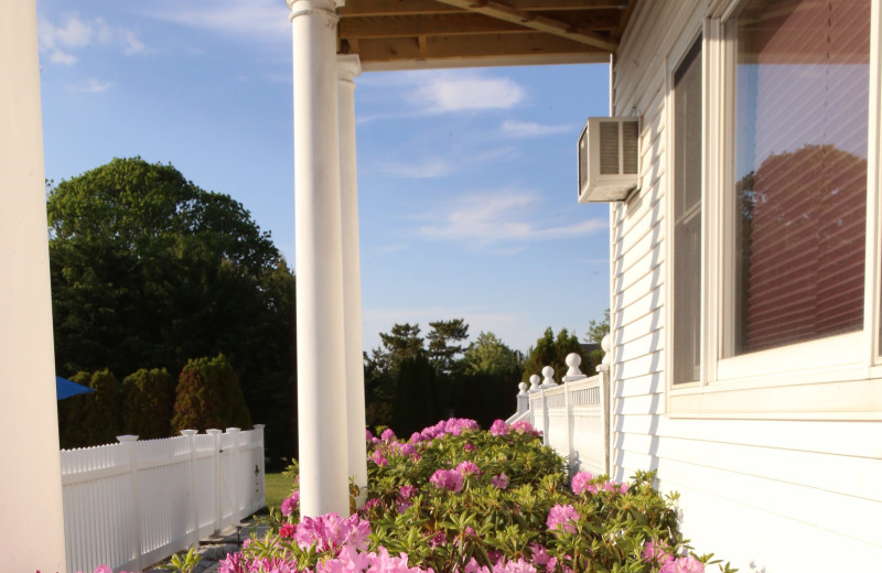 Garden at A Victorian On The Bay.