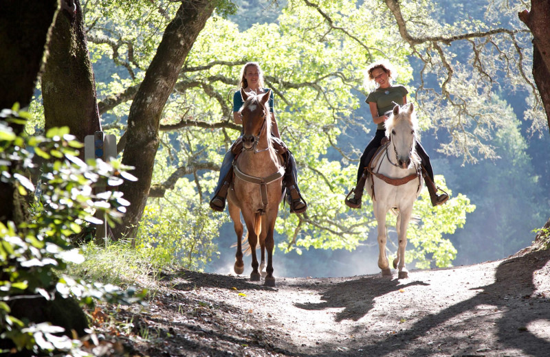 Horseback riding at Winter Clove Inn.