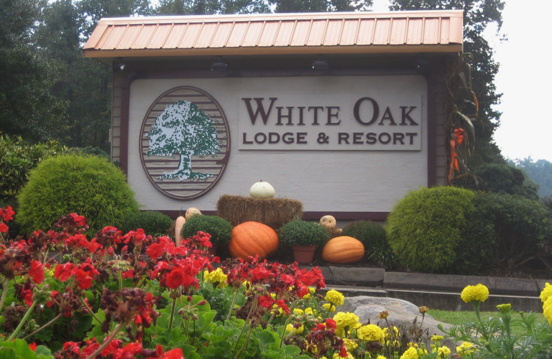 Garden at White Oak Lodge & Resort.