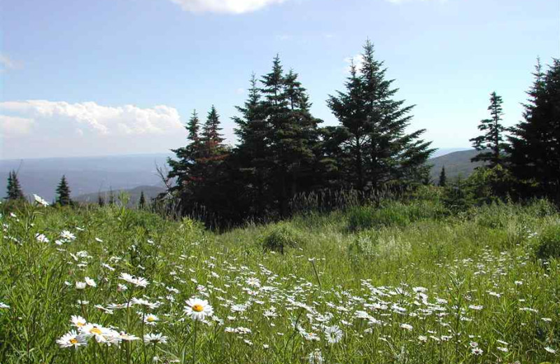 Hiking at The Lanesborough Country Inn.