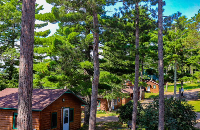 Cabins at Wilderness Resort Villas.