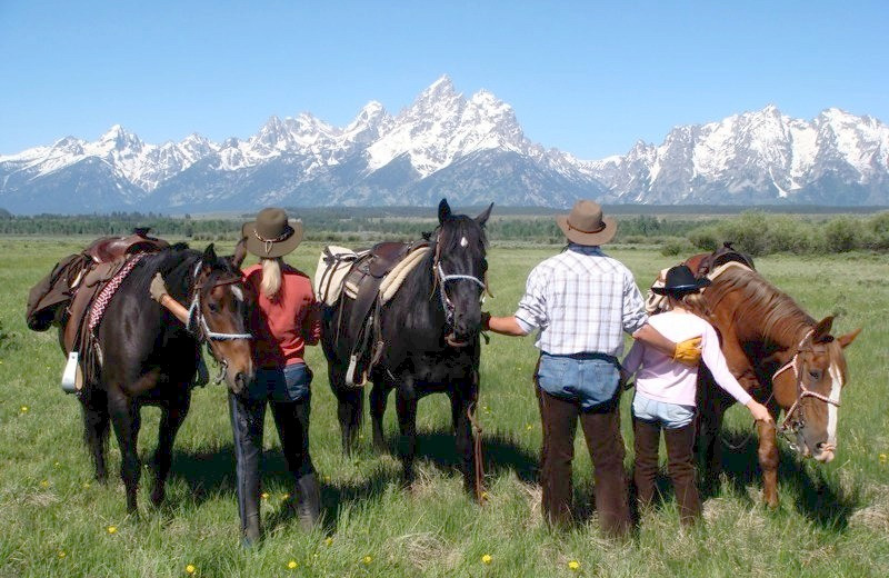 Horseback Riding at Moose Head Ranch