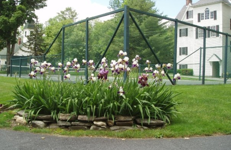 Exterior View at Echo Lake Inn