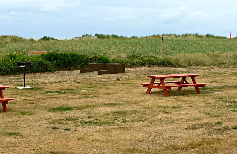 Picnic area at Hi-Tide Ocean Beach Resort.