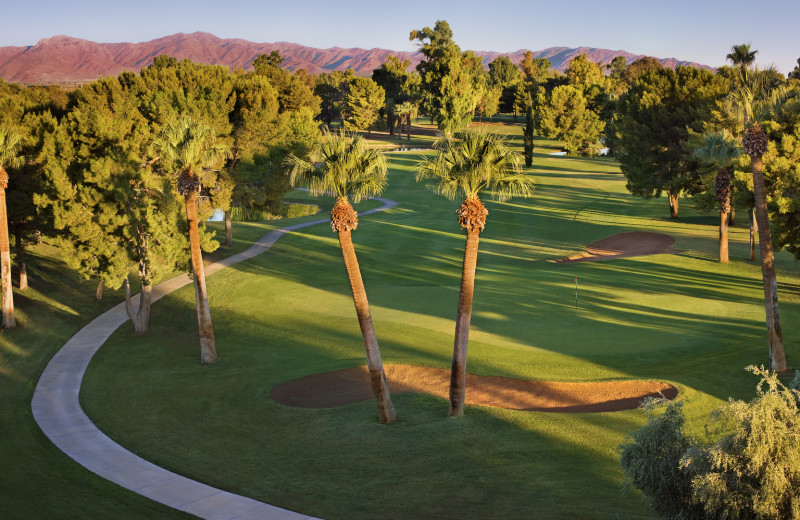 Golf course at The Wigwam Resort.