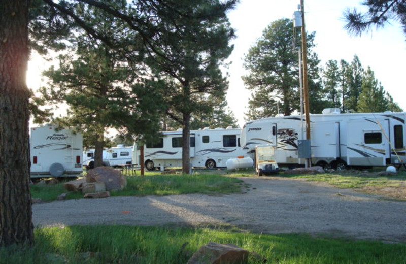 RV park at Flaming Gorge Lodge.