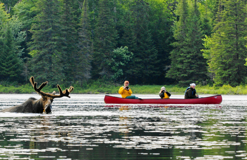 Canoeing at Algonquin Log Cabin.