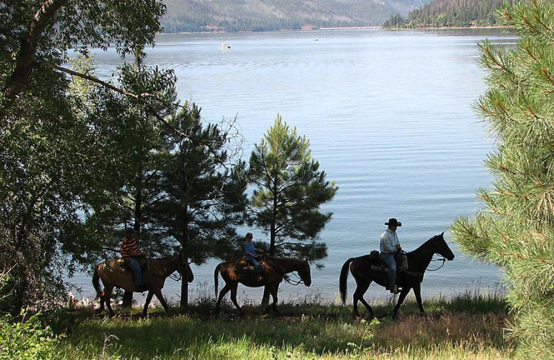 Horseback riding at Lone Wolf Cabins and Getaway.