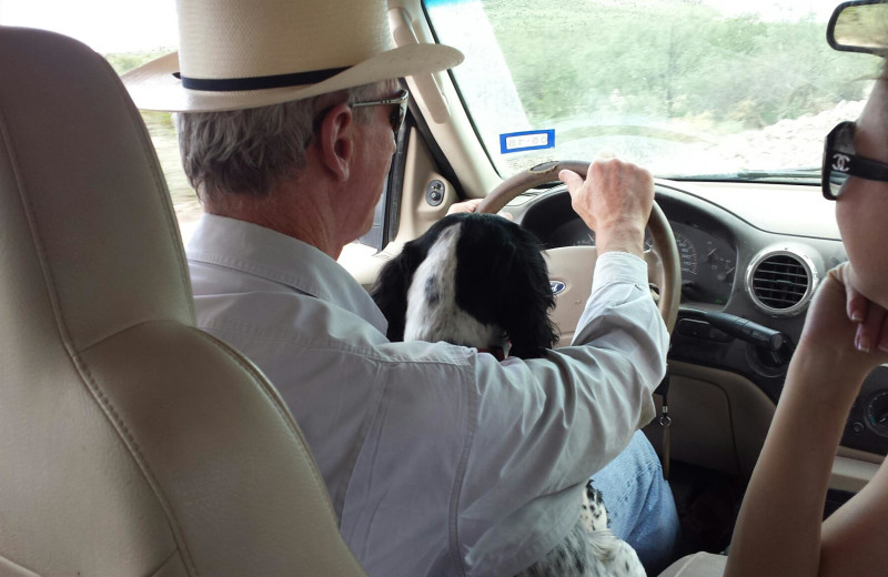 Pets welcome at Cibolo Creek Ranch.