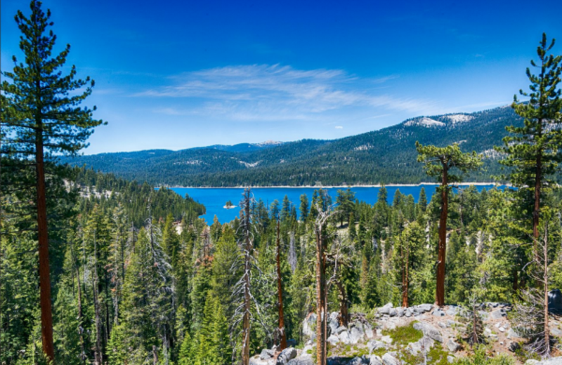 Lake view at Knotty Pine Cabins.