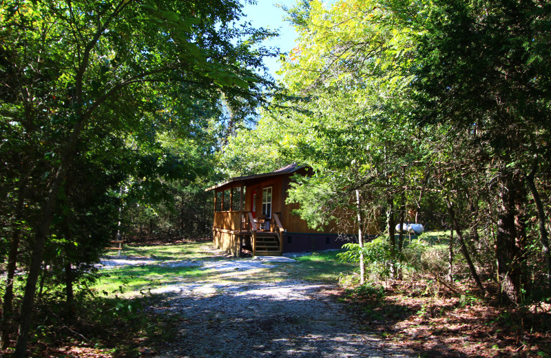 Enjoy the natural surroundings at Ozark Cabins.