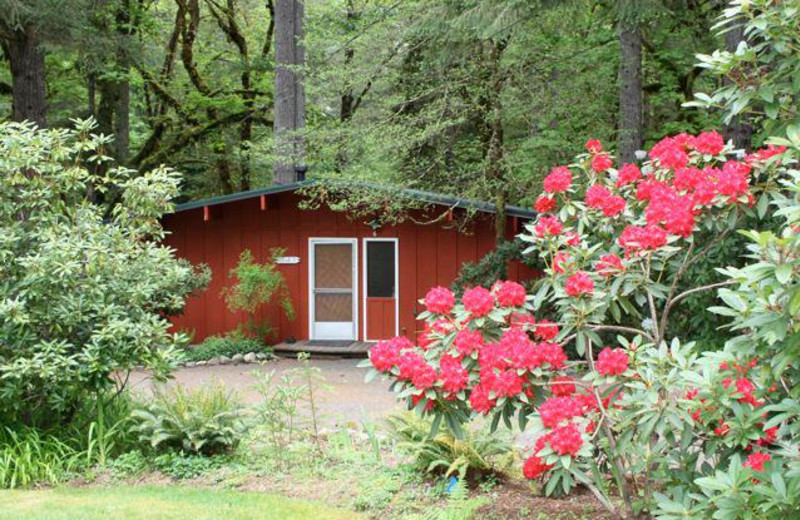 Cabin exterior at The Wayfarer Resort.