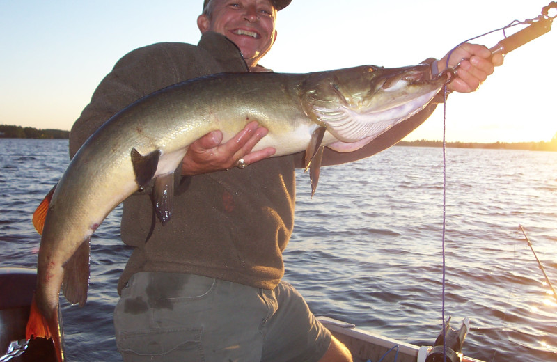 Musky Fishing at Pine Vista Resort