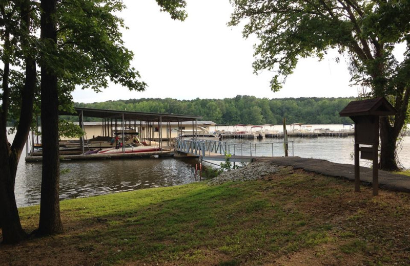 Grounds at Mansard Island Resort & Marina.