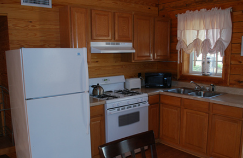 Cabin kitchen at Yogi on the Lake.