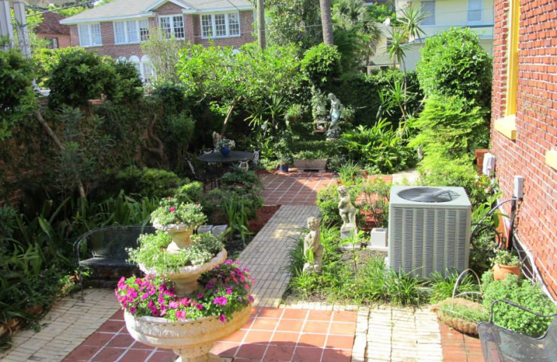 Garden at Dickert House.