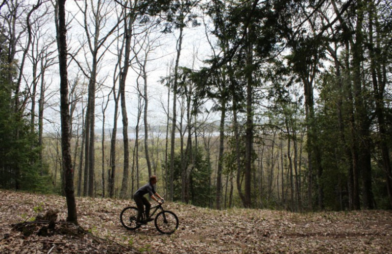 Biking at Aqua Log Cabin Resort.