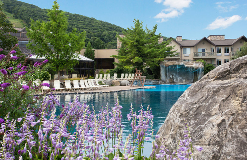 Outdoor pool at Minerals Hotel.